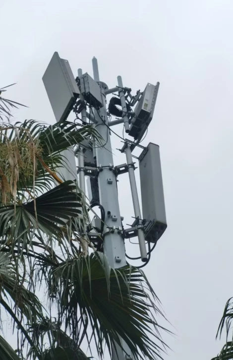 绿蚁天线公园部署案例
